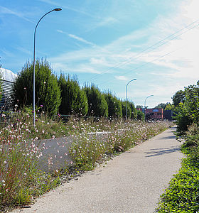 Zone d'Activité Economique de Chamlys