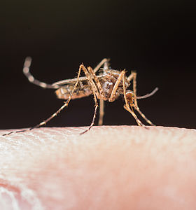 ZOOM SUR : L&rsquo;entreprise Stop & Protect