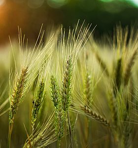 Un appel à projet pour les groupes d&rsquo;agriculteurs