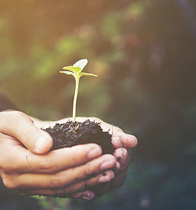 Chèque vert pour la transition écologique