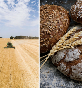 Aide à la transformation agroalimentaire francilienne