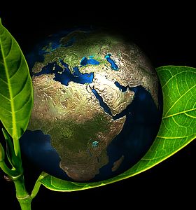 La transition écologique des entreprises: un programme pour se lancer