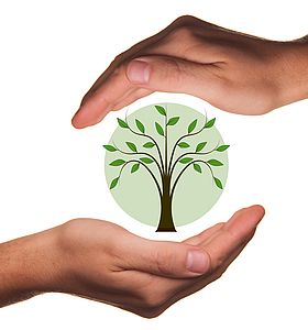 Vous avez un projet écologique ? S&rsquo;il est plébiscité, il sera financé !