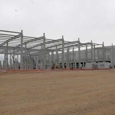 Premier arbre sur le site Zalando