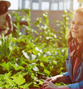 Vitagora – Cultivons nos villes